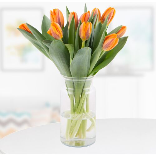 blumenshop.de 10 Orange Tulpen