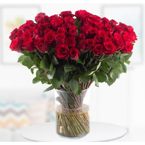 blumenshop.de 100 Rosen - Upperclass (50cm)