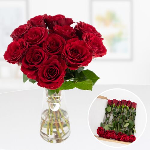 blumenshop.de Rosenbox 12 Frische Rosen Rot