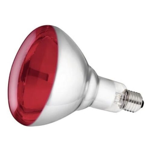 Philips Hartglas-Infrarotlampe, rot, 250 Watt, für Infrarot-Aufzuch...
