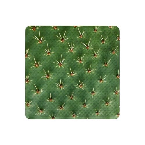 WCShop24 Badematte Kaktus 53 x 53 cm
