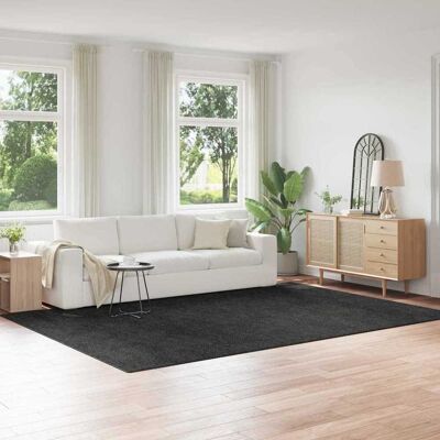 Vidaxl - Shaggy Latex Backing - Grau - 240x340 cm - Rug Vidaxl - Shaggy Latex Backing - Grau - 240x340 cm - Rug