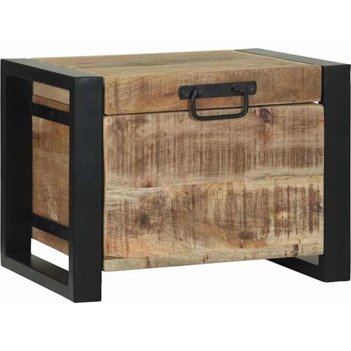 vidaXL Aufbewahrungs-Truhen Braun 40 x 30 x 30 cm Massivholz Mango Braun