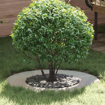 vidaXL geeignet für flachen Baumring Silber Ø40/70 cm Verzinkter Stahl Silber vidaXL geeignet für flachen Baumring Silber Ø40/70 cm Verzinkter Stahl Silber