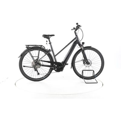 Pegasus Premio EVO 10 Lite Trekking E-Bike Tiefeinsteiger black chrome matt black matt 55 cm Pegasus Premio EVO 10 Lite Trekking E-Bike Tiefeinsteiger black chrome matt black matt 55 cm