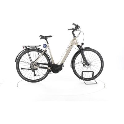 FALTER E 9.5 KS Trekking E-Bike Tiefeinsteiger silvergrey black 55 cm FALTER E 9.5 KS Trekking E-Bike Tiefeinsteiger silvergrey black 55 cm