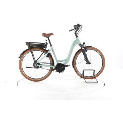 Riese & Müller Swing vario City E-Bike Tiefeinsteiger salvia matt 51 cm Riese & Müller Swing vario City E-Bike Tiefeinsteiger salvia matt 51 cm