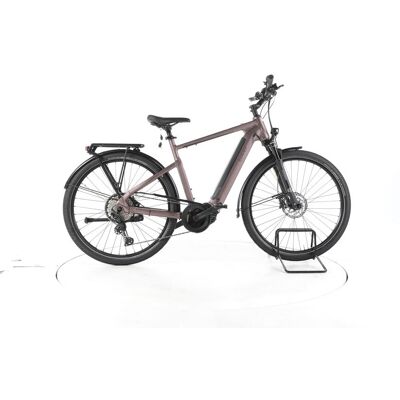 Carver Route E.530 Trekking E-Bike shadow rouge metallic anthracitegrey 55 cm Carver Route E.530 Trekking E-Bike shadow rouge metallic anthracitegrey 55 cm
