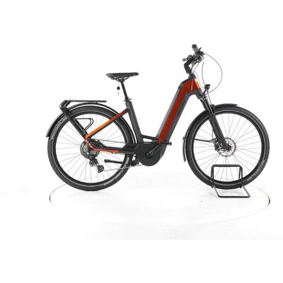 Bergamont E-Ville SUV Trekking E-Bike Tiefeinsteiger shiny dirty orange 50cm Bergamont E-Ville SUV Trekking E-Bike Tiefeinsteiger shiny dirty orange 50cm