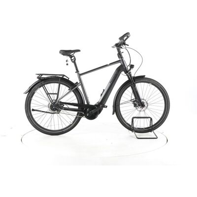 Pegasus Premio Evo 5 Lite Comfort City E-Bike grau 55 Pegasus Premio Evo 5 Lite Comfort City E-Bike grau 55