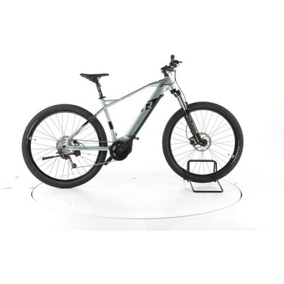 R Raymon HardRay E 5.0 E-Bike green L R Raymon HardRay E 5.0 E-Bike green L
