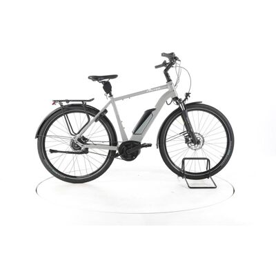 FALTER E 9.3 RT City E-Bike grey 55 cm FALTER E 9.3 RT City E-Bike grey 55 cm