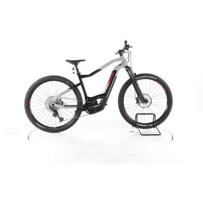 Haibike Hard Nine 9 E-Bike grau schwarz L Haibike Hard Nine 9 E-Bike grau schwarz L