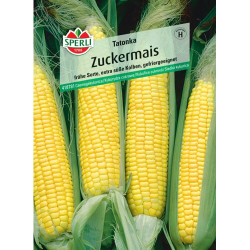 Sperli Zuckermais Tatonka F1