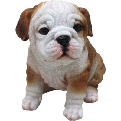 FD Dekofigur Bulldogge sitzend 17 x 16 x 12 cm weiß braun FD Dekofigur Bulldogge sitzend 17 x 16 x 12 cm weiß braun