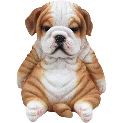 FD Dekofigur Bulldogge sitzend 17 x 16 x 16 cm braun weiß FD Dekofigur Bulldogge sitzend 17 x 16 x 16 cm braun weiß