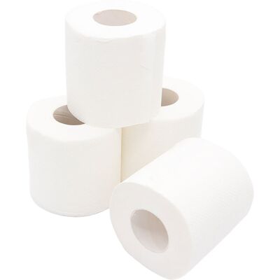 Campingaz Camping Gaz Toilettenpapier für Chemie-Toiletten 4 Rollen Campingaz Camping Gaz Toilettenpapier für Chemie-Toiletten 4 Rollen