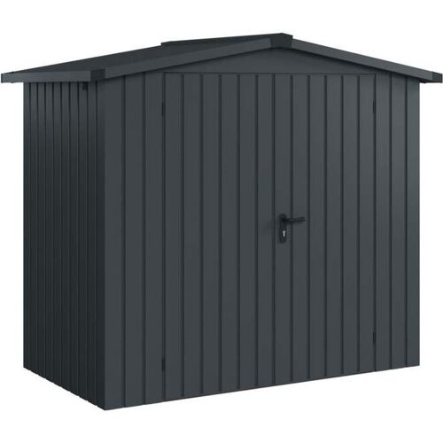 EcoStar Metallgerätehaus Euroline ESD3 anthrazit 214 x 118 cm 2-flg.