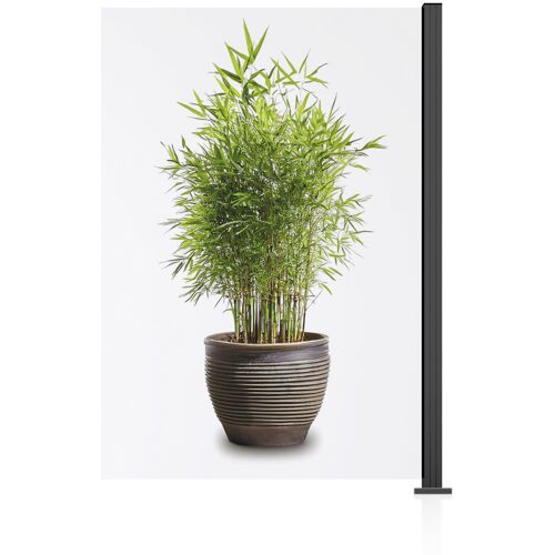 Ambiente Glaszaun Erweiterungsset Klarglas 187 x 124,2 cm anthrazit