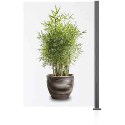 Ambiente Glaszaun Erweiterungsset Klarglas 187 x 124,2 cm grau Ambiente Glaszaun Erweiterungsset Klarglas 187 x 124,2 cm grau