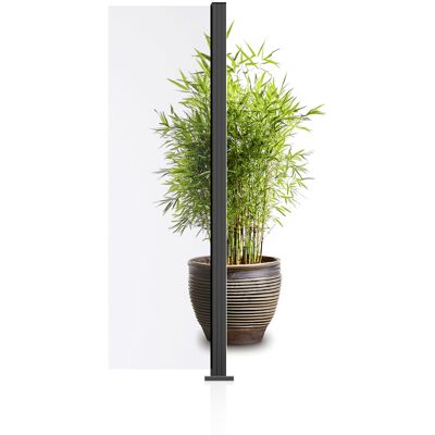 Ambiente Glaszaun Erweiterungsset Klarglas 187 x 55,7 cm anthrazit Ambiente Glaszaun Erweiterungsset Klarglas 187 x 55,7 cm anthrazit