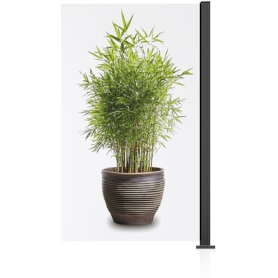 Ambiente Glaszaun Erweiterungsset Klarglas 187 x 107,2 cm anthrazit Ambiente Glaszaun Erweiterungsset Klarglas 187 x 107,2 cm anthrazit