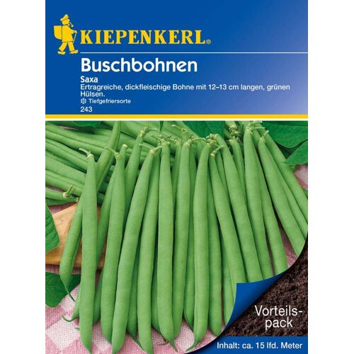 Kiepenkerl Buschbohne Saxa