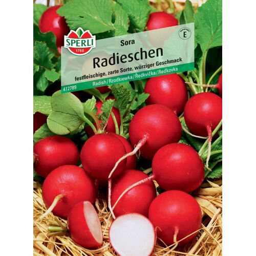 Sperli Radieschen Sora