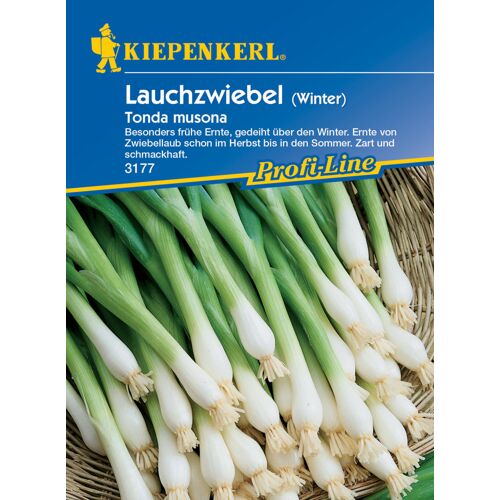 Kiepenkerl Winterlauchzwiebel Tonda musona