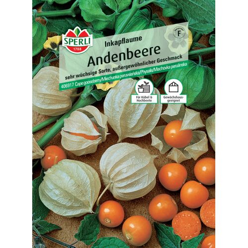 Sperli Andenbeere Inkapflaume