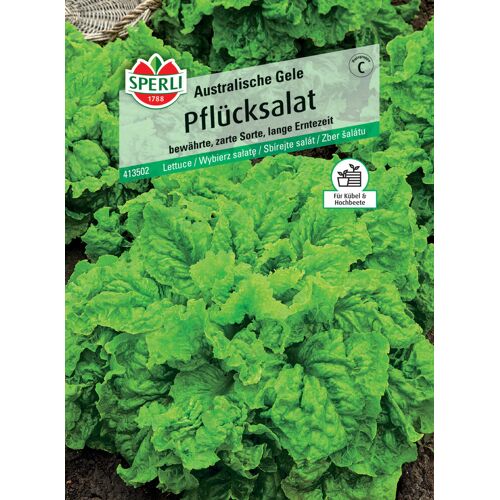 Sperli Pflücksalat Australische Gele