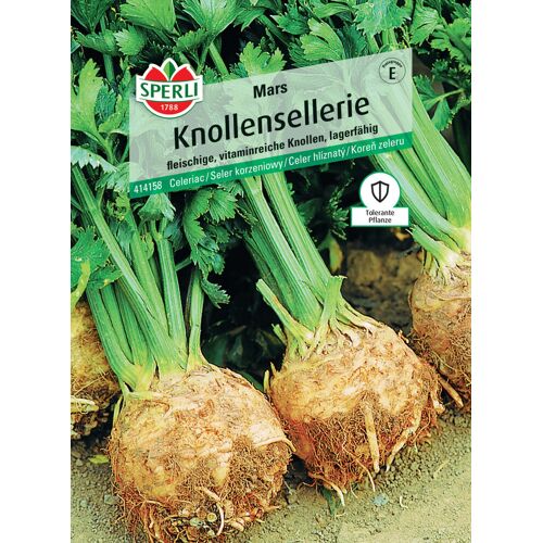 Sperli Knollensellerie Mars