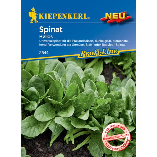 Kiepenkerl Spinat Helios