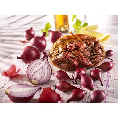 Kiepenkerl Pflanzzwiebeln Rote Steckzwiebeln Allium cepa, Inhalt: 250 g