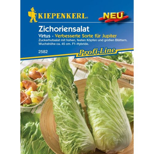 Pflanzen Kiepenkerl Zichoriensalat Virtus F1