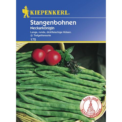 Kiepenkerl Stangenbohne Neckarkönigin 15-20 Stangen