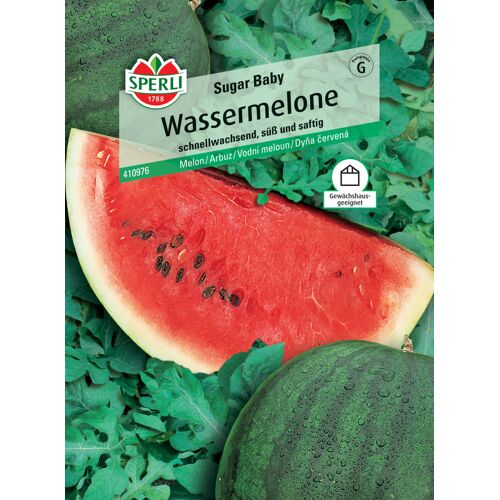 Sperli Wassermelone Sugar Baby