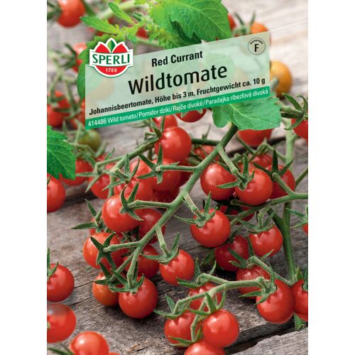 Sperli Wildtomate Red Currant