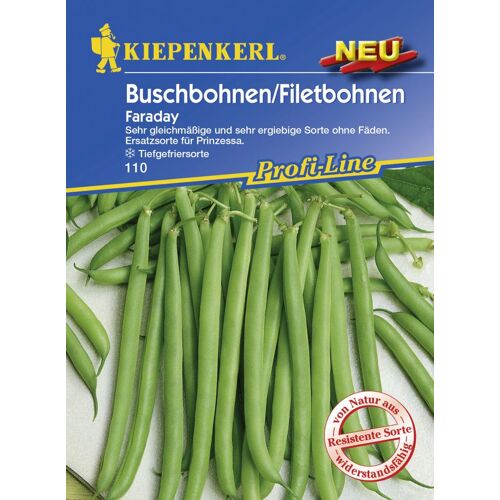 Kiepenkerl Buschbohne Faraday Phaseolus vulgaris var. nanus, Inhalt: 6-8 lfd. Meter