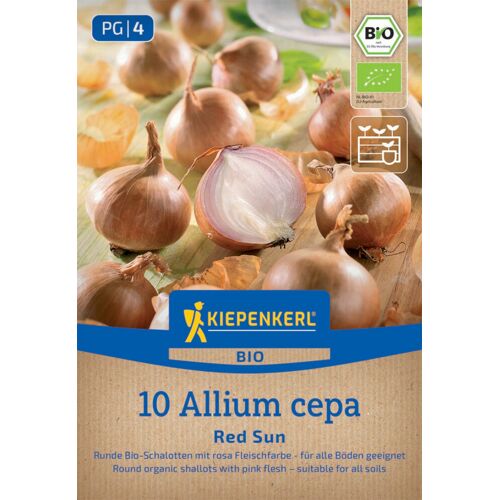 Kiepenkerl Profi-Line Bio Steckzwiebel Schalotte Red Sun Gr. 7/15, 10 Stück