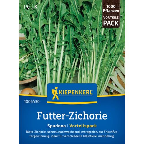 Kiepenkerl Gründünger Futter-Zichorie Spadona Vorteilspackung für ca. 1000 Pflanzen