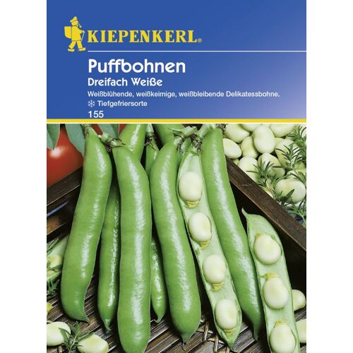 Kiepenkerl Puffbohne Dreifach Weiße ca. 5 lfd. Meter