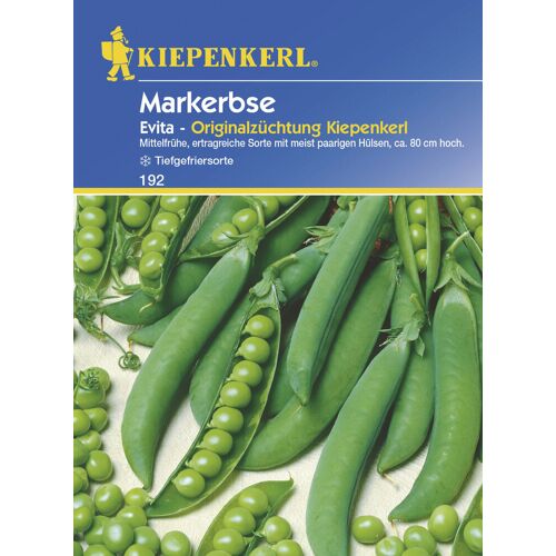 Kiepenkerl Markerbse Evita Inhalt reicht für ca. 10 lfd. Meter