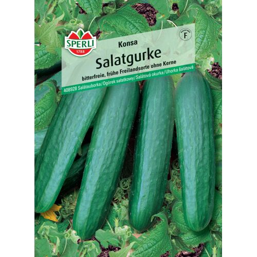 Sperli Salatgurke Konsa F1