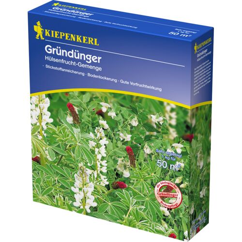 Kiepenkerl Gründünger Hülsenfrucht- ca. 50 qm