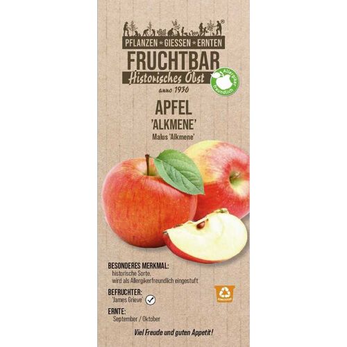 Pflanzen Historische Bio Obstbäume Apfel Alkmene H 150 cm 29 cm Topf