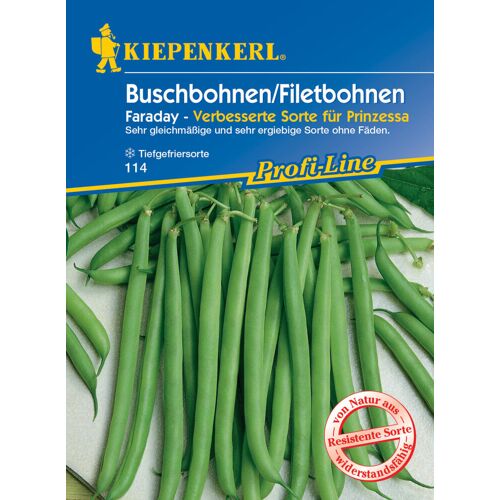 Kiepenkerl Buschbohne Faraday
