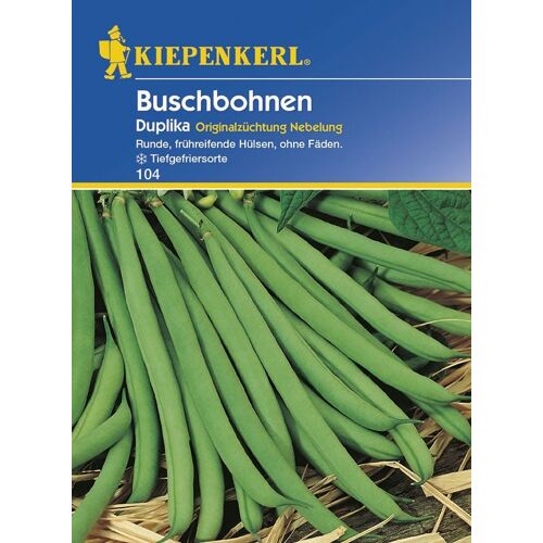 Kiepenkerl Buschbohne Duplika Phaseolus vulgaris var. nanus, Inhalt: ca. 5 lfd. Meter