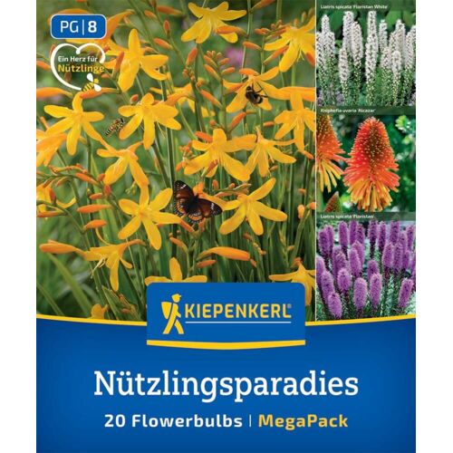 Kiepenkerl Mega-Pack Frühjahrsblumenzwiebel Blumenzwiebelmischung Nützlingsparadies 20 Stück