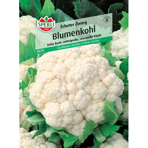 Sperli Blumenkohl Bola de Neve